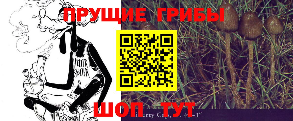 продажа наркотиков  Вход с VPN  Егорьевск  Галлюциногенные грибы Psilocybine cubensis  Галлюциногенные грибы GOLDEN TEACHER 